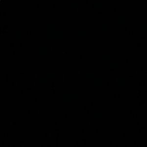 Meet your Posher, Mallory